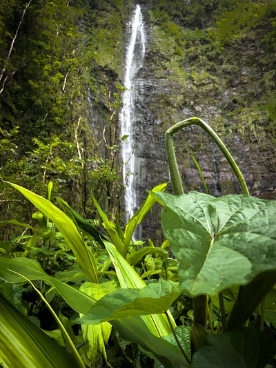 Waimoku water falls